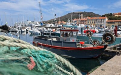 Cémoi inaugure une nouvelle voie maritime pour son cacao
