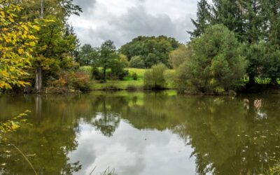 Paprec et la gestion durable