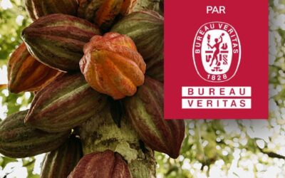 CÉMOI : Lance son programme Transparence Cacao.